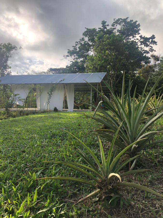 Soursop Hostel Cueta Buitenkant foto